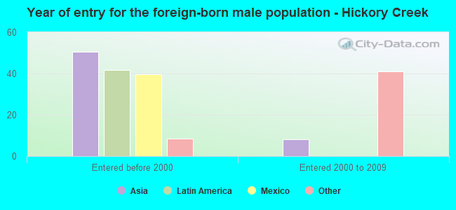Year of entry for the foreign-born male population - Hickory Creek