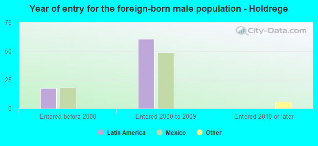 Year of entry for the foreign-born male population - Holdrege