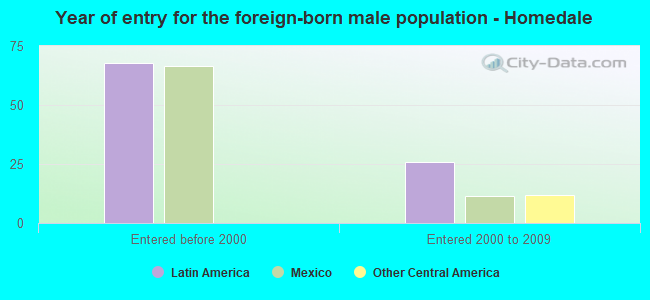 Year of entry for the foreign-born male population - Homedale