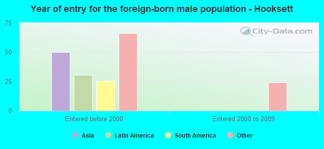 Year of entry for the foreign-born male population - Hooksett