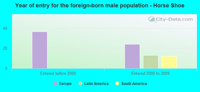 Year of entry for the foreign-born male population - Horse Shoe