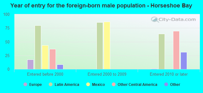 Year of entry for the foreign-born male population - Horseshoe Bay