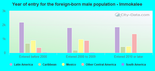 Year of entry for the foreign-born male population - Immokalee