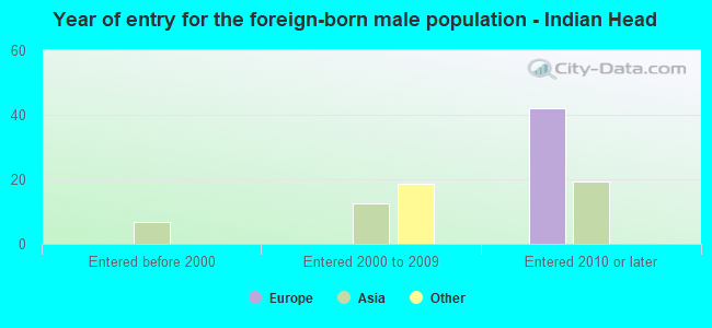 Year of entry for the foreign-born male population - Indian Head