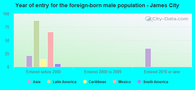 Year of entry for the foreign-born male population - James City