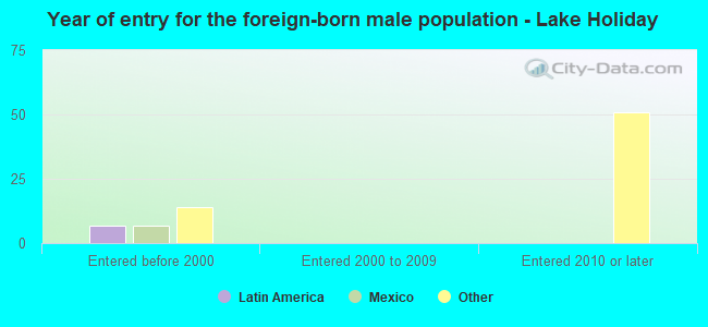 Year of entry for the foreign-born male population - Lake Holiday