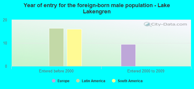 Year of entry for the foreign-born male population - Lake Lakengren