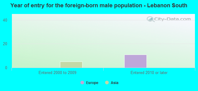 Year of entry for the foreign-born male population - Lebanon South