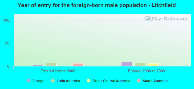 Year of entry for the foreign-born male population - Litchfield