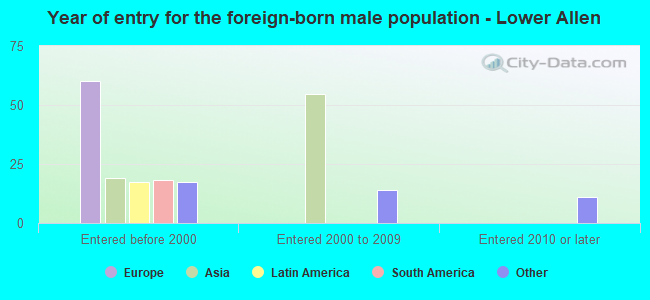 Year of entry for the foreign-born male population - Lower Allen