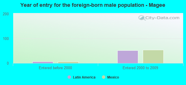 Year of entry for the foreign-born male population - Magee