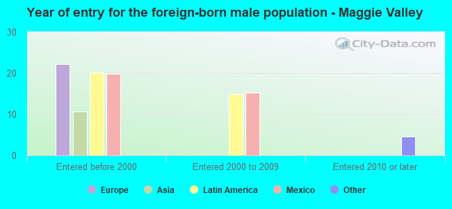 Year of entry for the foreign-born male population - Maggie Valley