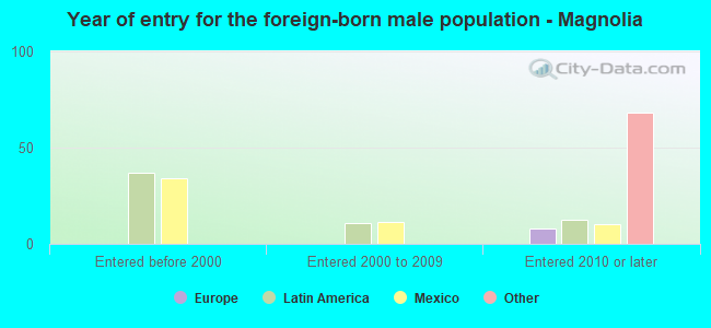 Year of entry for the foreign-born male population - Magnolia