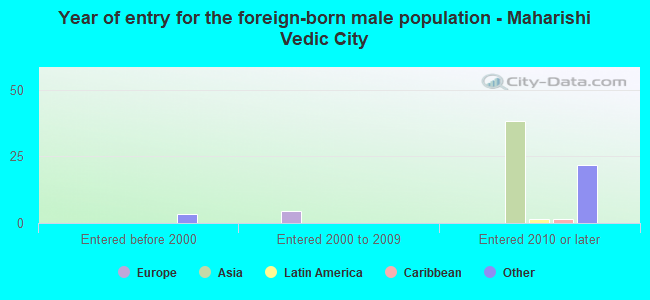 Year of entry for the foreign-born male population - Maharishi Vedic City