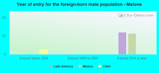 Year of entry for the foreign-born male population - Malone