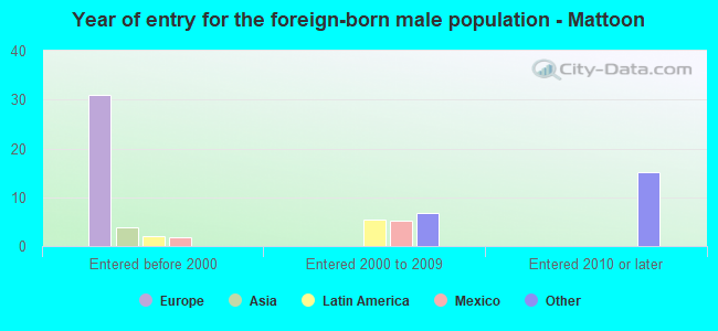 Year of entry for the foreign-born male population - Mattoon