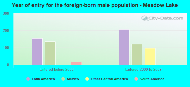 Year of entry for the foreign-born male population - Meadow Lake
