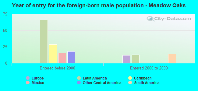 Year of entry for the foreign-born male population - Meadow Oaks