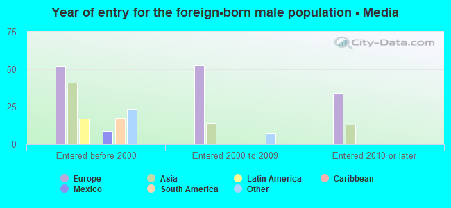 Year of entry for the foreign-born male population - Media