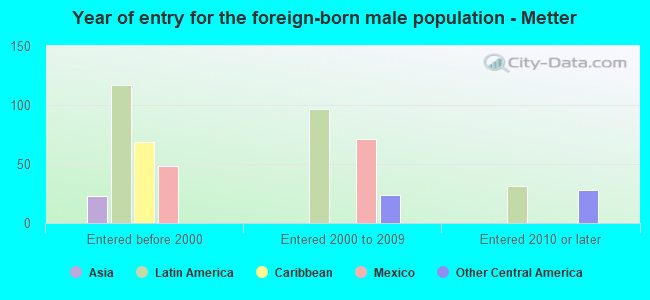Year of entry for the foreign-born male population - Metter