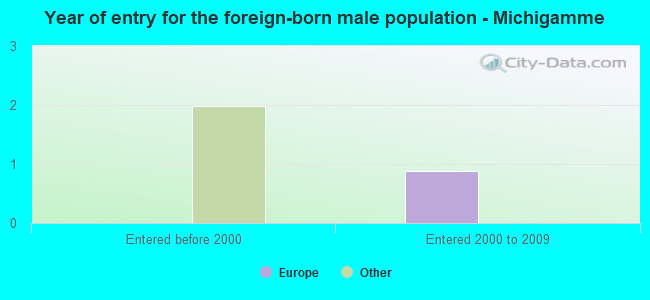 Year of entry for the foreign-born male population - Michigamme