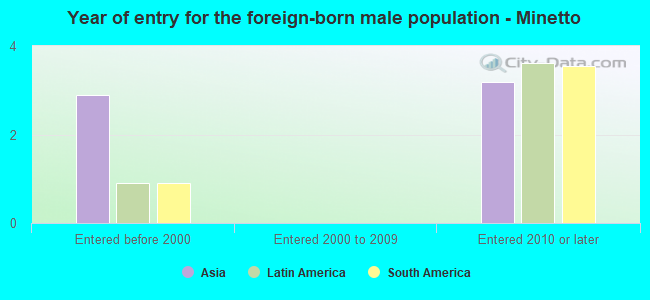 Year of entry for the foreign-born male population - Minetto