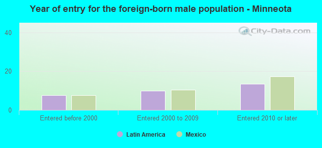 Year of entry for the foreign-born male population - Minneota