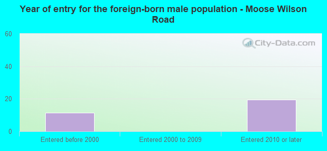 Year of entry for the foreign-born male population - Moose Wilson Road