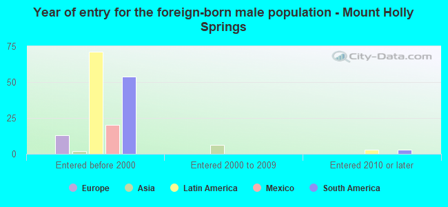 Year of entry for the foreign-born male population - Mount Holly Springs
