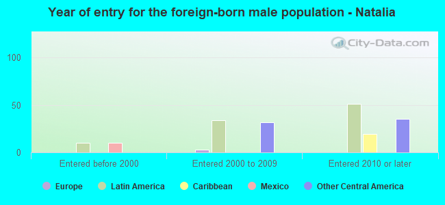 Year of entry for the foreign-born male population - Natalia