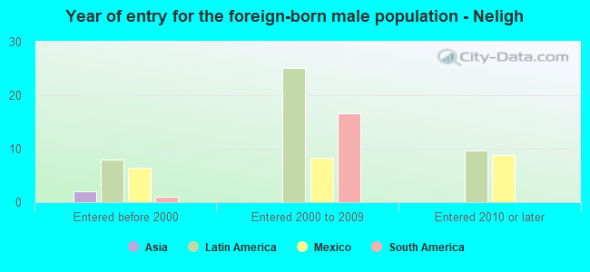 Year of entry for the foreign-born male population - Neligh