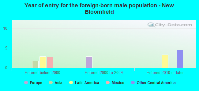 Year of entry for the foreign-born male population - New Bloomfield