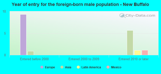 Year of entry for the foreign-born male population - New Buffalo