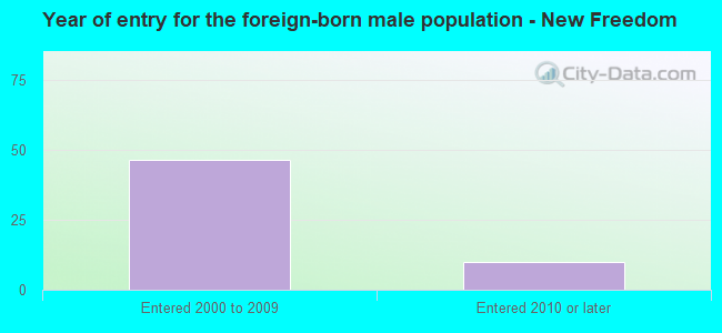 Year of entry for the foreign-born male population - New Freedom