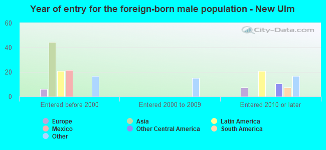 Year of entry for the foreign-born male population - New Ulm