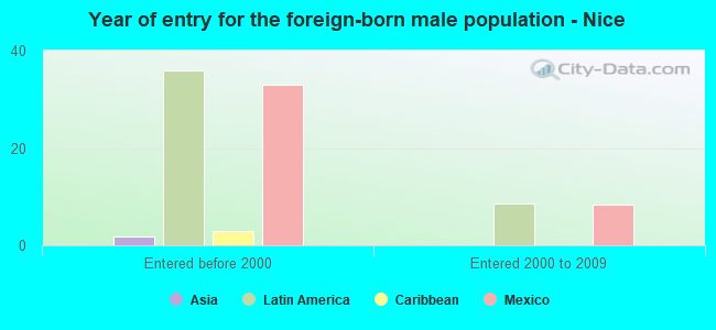 Year of entry for the foreign-born male population - Nice