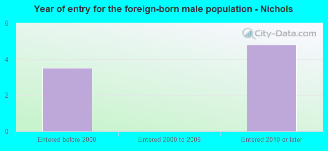 Year of entry for the foreign-born male population - Nichols