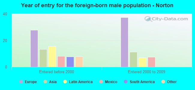 Year of entry for the foreign-born male population - Norton