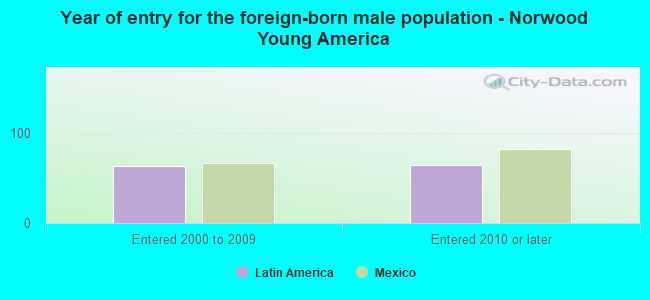 Year of entry for the foreign-born male population - Norwood Young America