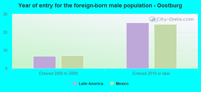 Year of entry for the foreign-born male population - Oostburg