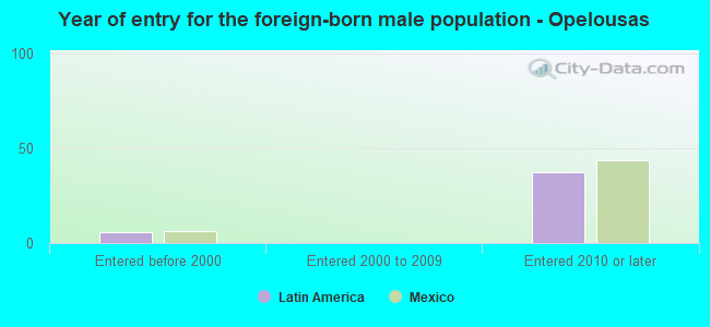 Year of entry for the foreign-born male population - Opelousas
