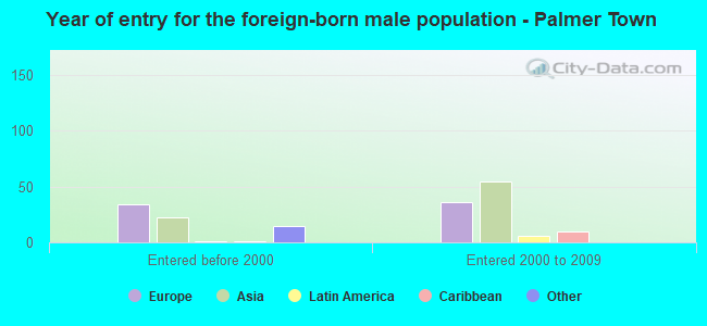 Year of entry for the foreign-born male population - Palmer Town