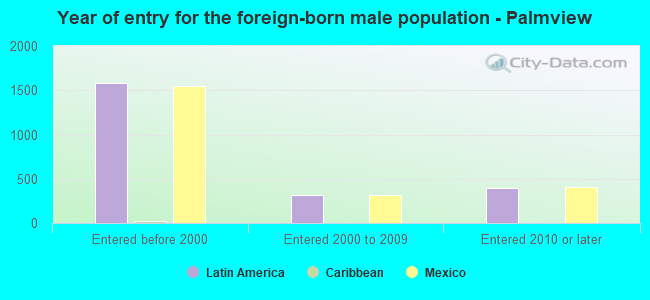 Year of entry for the foreign-born male population - Palmview