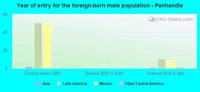 Year of entry for the foreign-born male population - Panhandle