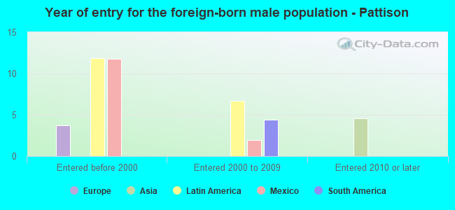 Year of entry for the foreign-born male population - Pattison