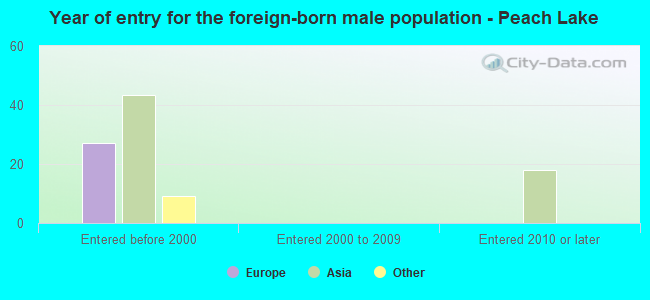 Year of entry for the foreign-born male population - Peach Lake