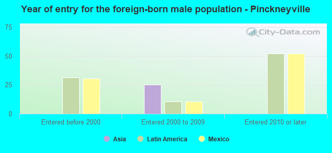 Year of entry for the foreign-born male population - Pinckneyville