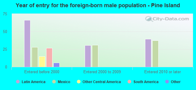 Year of entry for the foreign-born male population - Pine Island