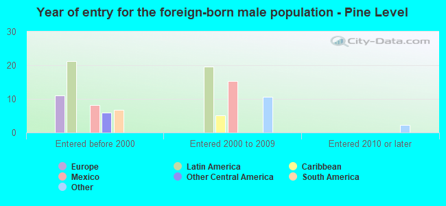 Year of entry for the foreign-born male population - Pine Level