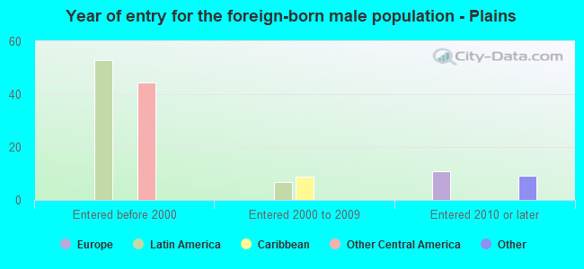 Year of entry for the foreign-born male population - Plains